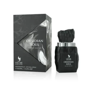 Volaré Ultra Niche Obsidian Soul Eau de Parfum 100 ml