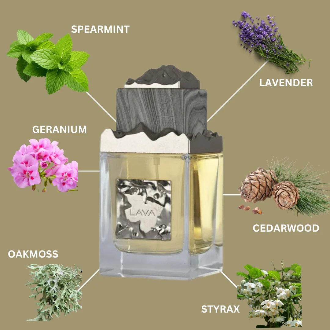 Lava Maison Alhambra EDP 100 ml - Imagen 2